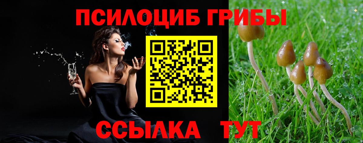Галлюциногенные грибы Psilocybine cubensis  Галлюциногенные грибы Magic Shrooms  Вход с VPN  цены   Валуйки 